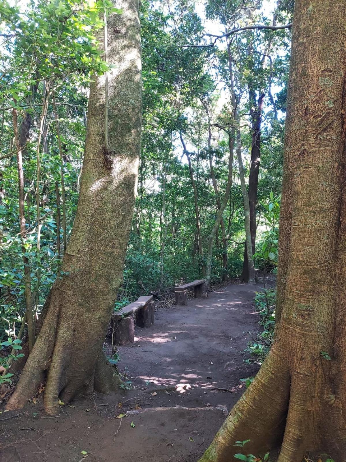 Hotel Montana Monteverde ภายนอก รูปภาพ