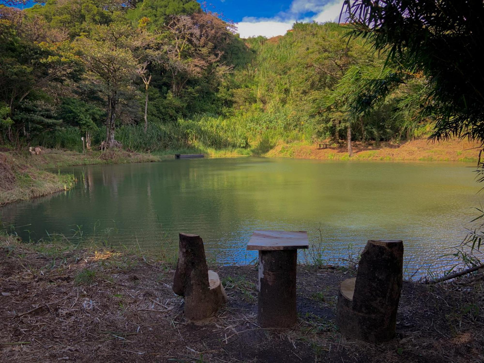 Hotel Montana Monteverde ภายนอก รูปภาพ