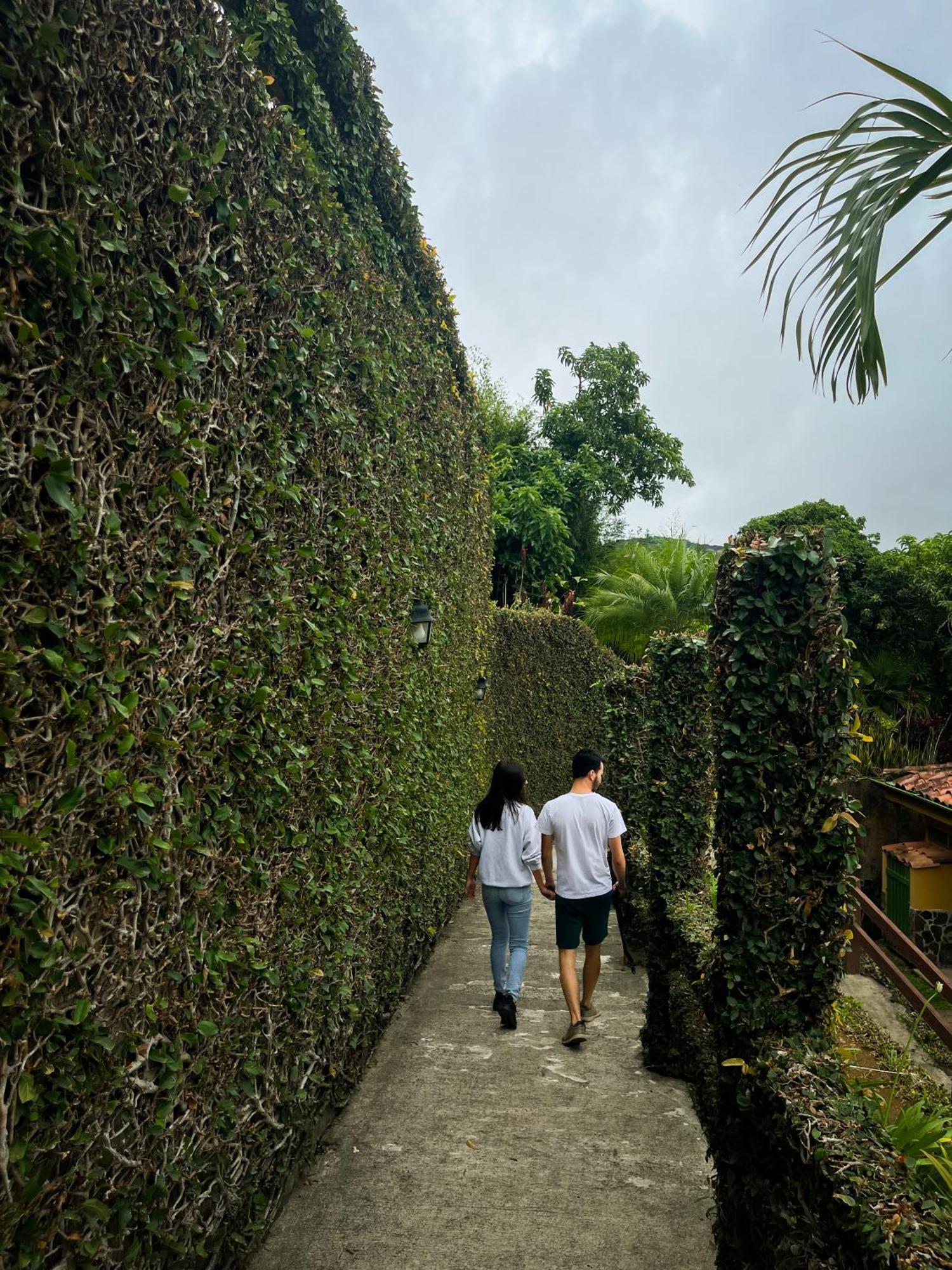 Hotel Montana Monteverde ภายนอก รูปภาพ